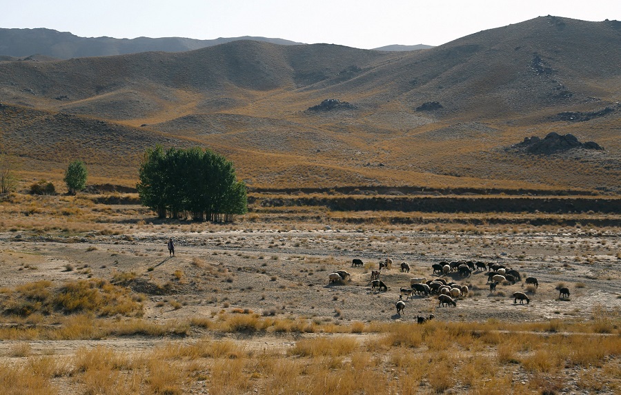 Ghazni