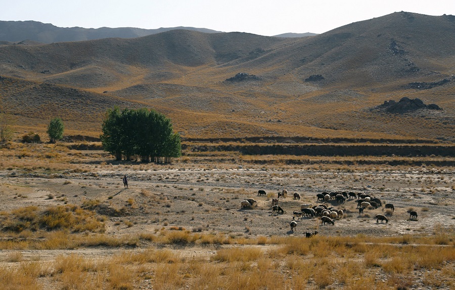 Daikundi