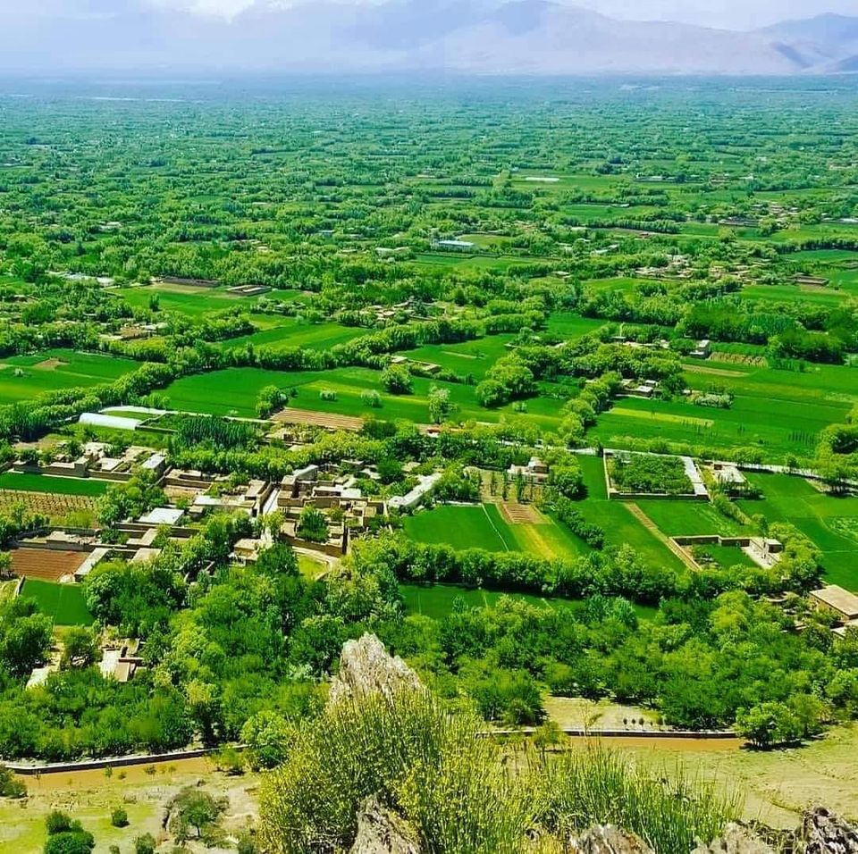 Kapisa