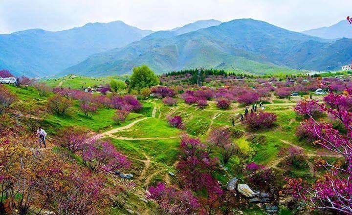 Parwan