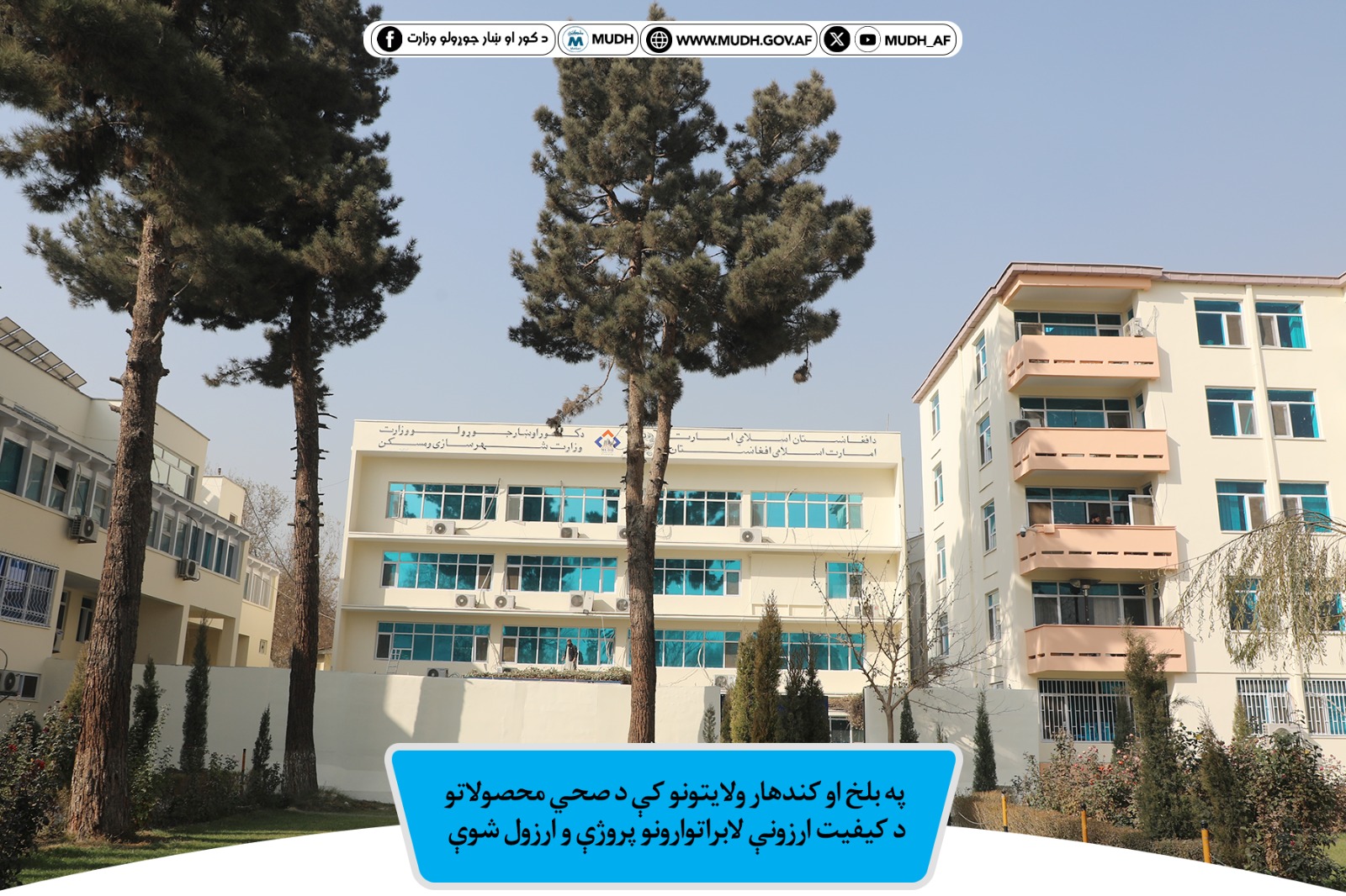 معینیت مالی 