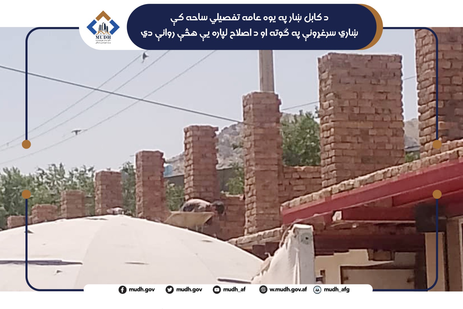 عامه 