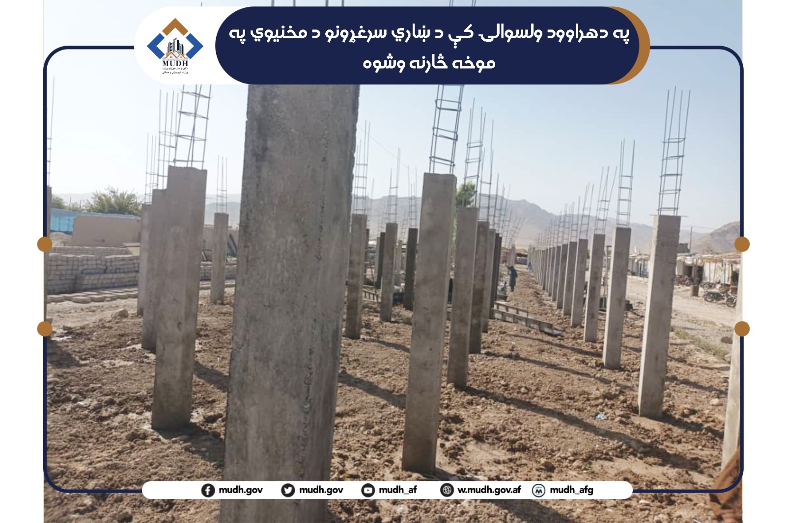 دهراوود