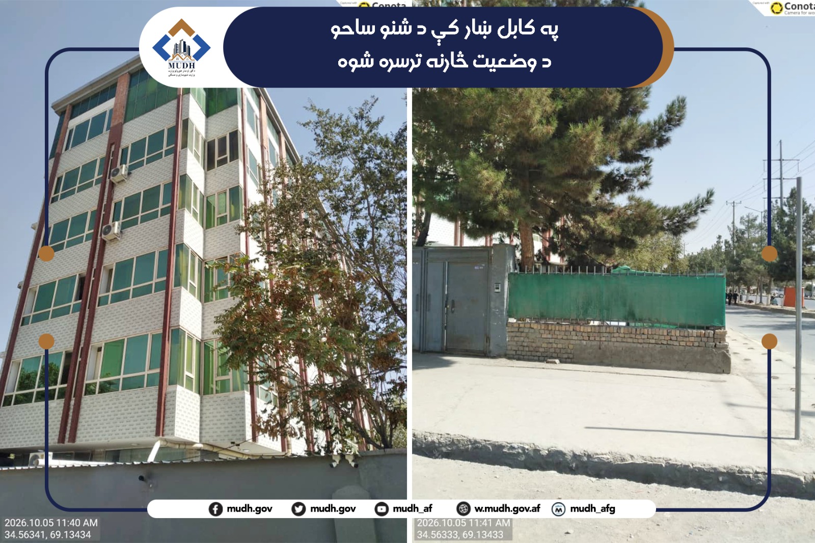 شنه ساحه 